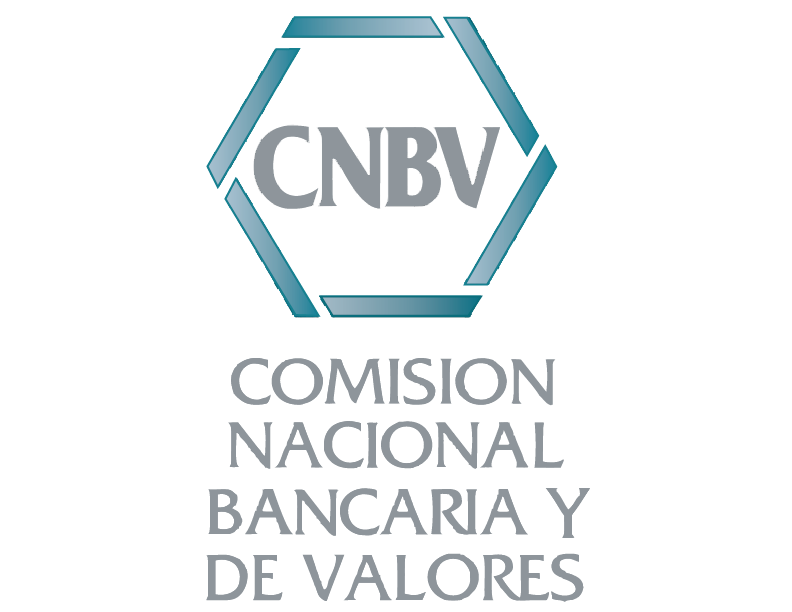cnbv-seeklogo-01